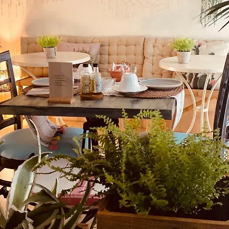 卡萨鲁伊洛佩兹酒店 招待所 2*