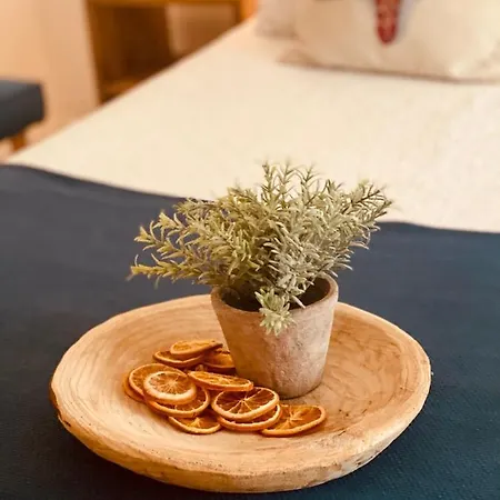 招待所 卡萨鲁伊洛佩兹酒店