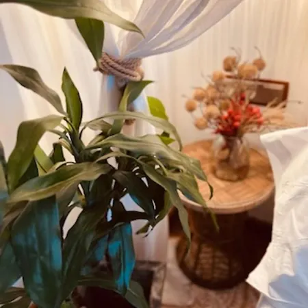 招待所 卡萨鲁伊洛佩兹酒店 2*