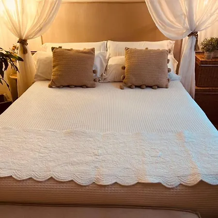 Konukevi Casa Ruy Lopez