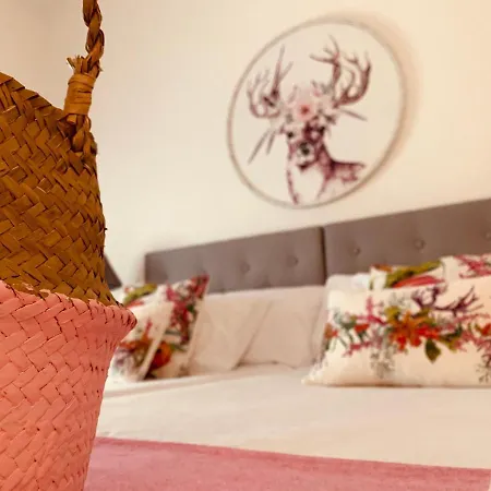 Casa Ruy Lopez Pensionat