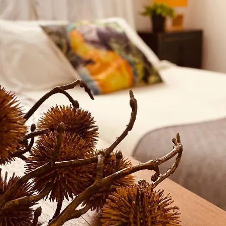 Casa Ruy Lopez Guest house Zafra