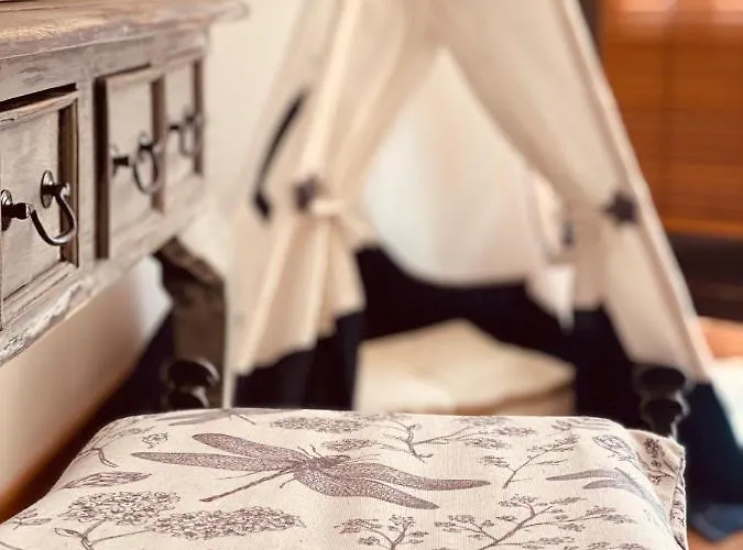 Casa Ruy Lopez Zafra