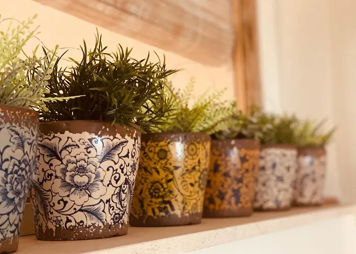 Casa Ruy Lopez 2* Zafra