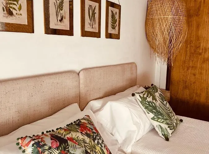 Casa Ruy Lopez Pensión Zafra