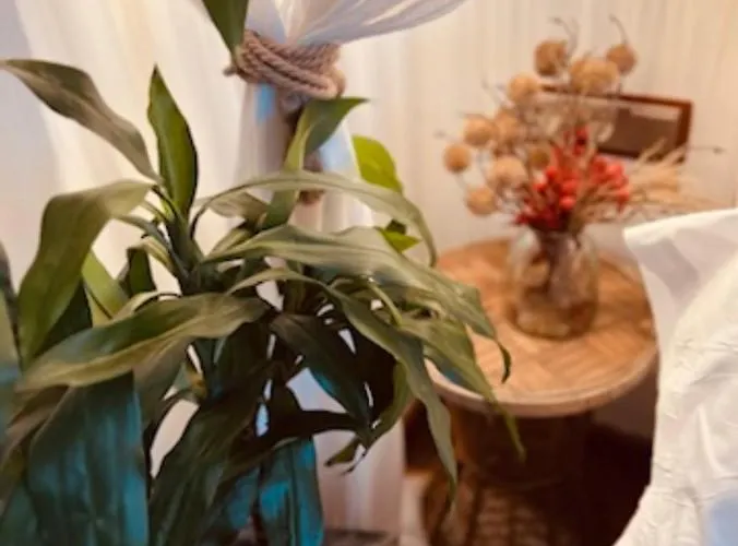 Pensión Casa Ruy Lopez 2*