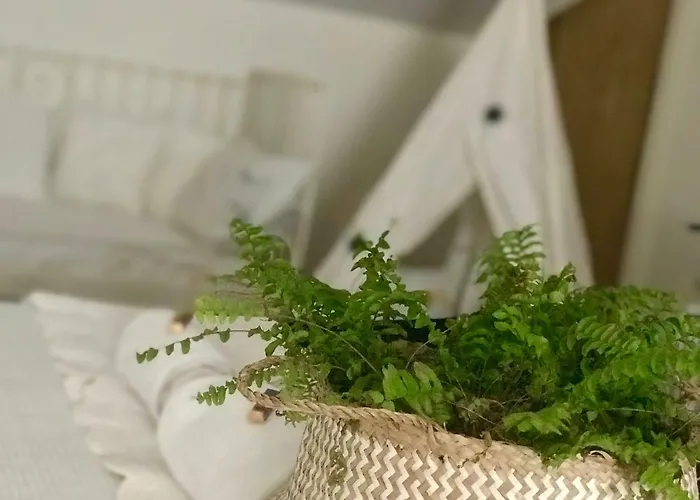 Pensión Casa Ruy Lopez Zafra