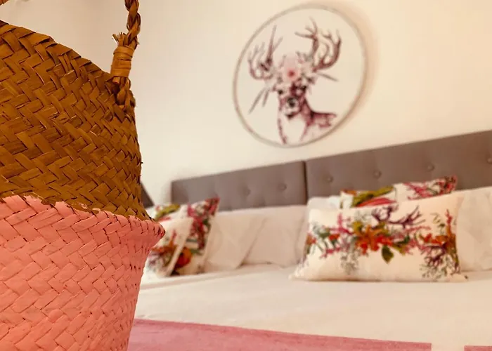 Casa Ruy Lopez Pensión