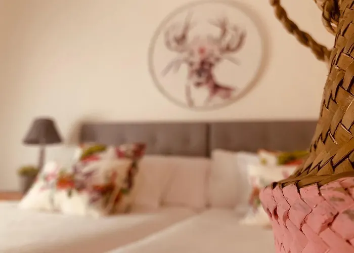 Konukevi Casa Ruy Lopez