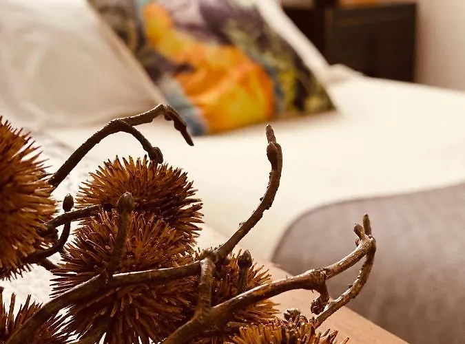 Casa Ruy Lopez Guest house Zafra